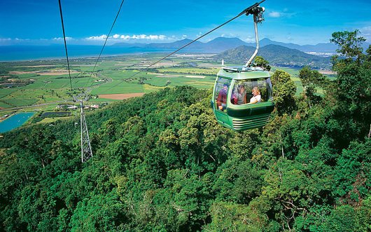 Explore the Rainforest through the Skyrail