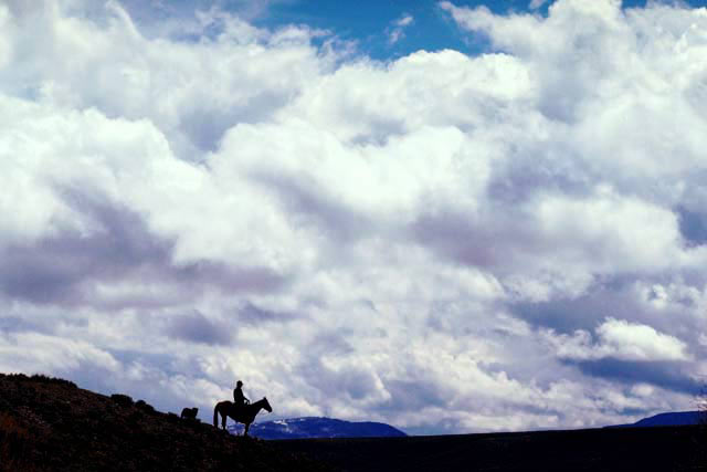Blazing Saddles – Explore Kuranda Rainforest By Horse Back