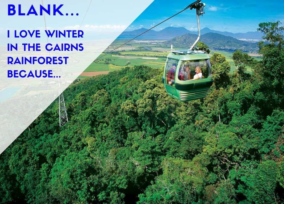 Experience Skyrail in Cairns